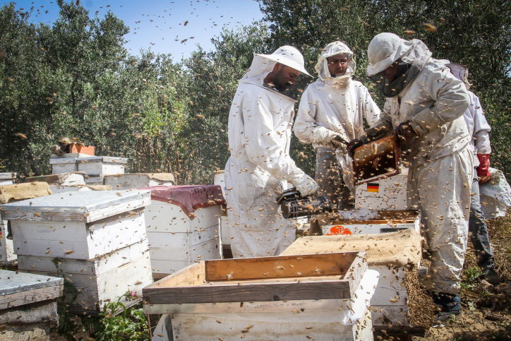 אילוסטרציה