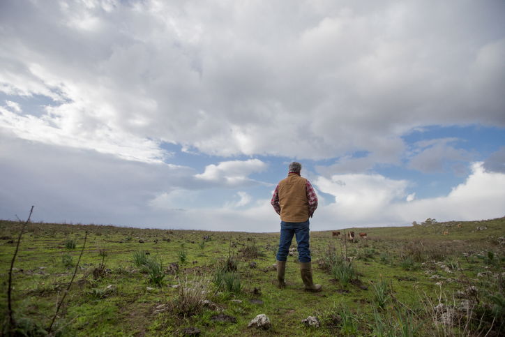 התחזית: גשם בצפון ובמרכז, ליל שבת - שלג
