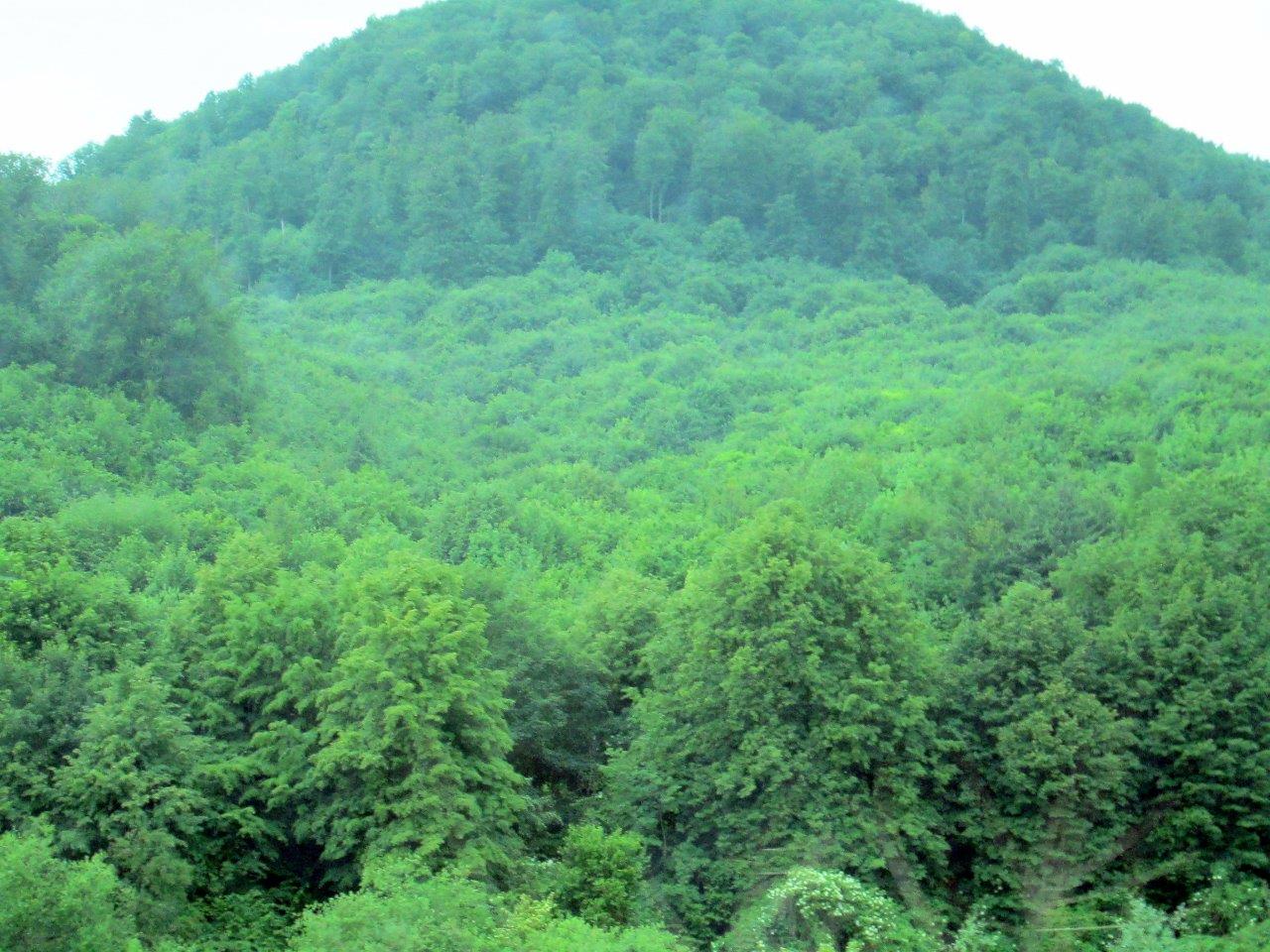 מחוז טרנסילבניה דרך עדשת המצלמה