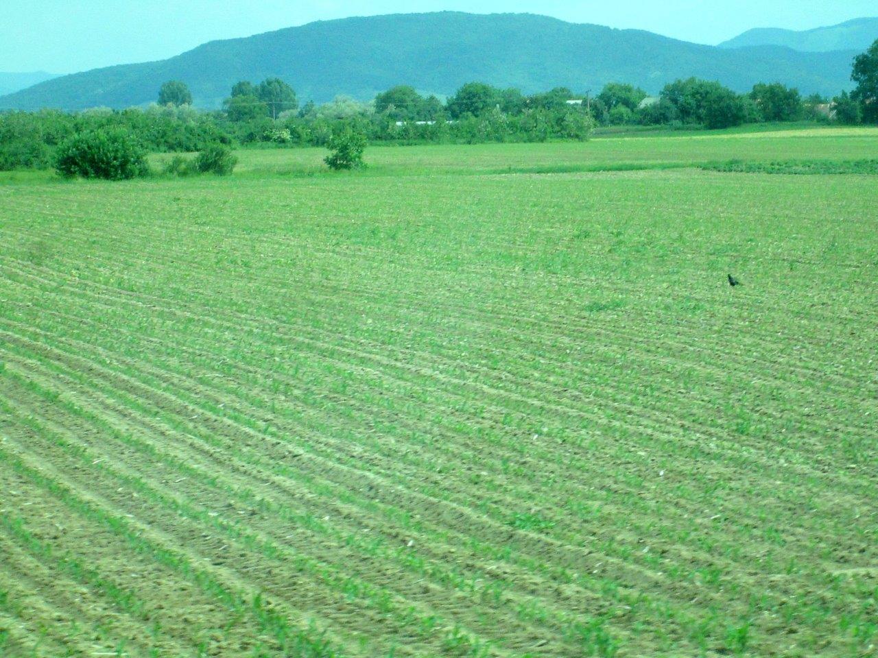 מחוז טרנסילבניה דרך עדשת המצלמה