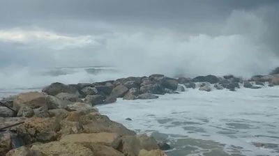 כך השפיעה הסערה על חוף שרתון בתל אביב • צפו