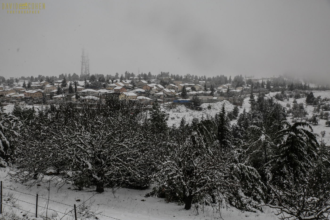 השלג בצפת • צפו בגלריה מרהיבה מבירת הגליל