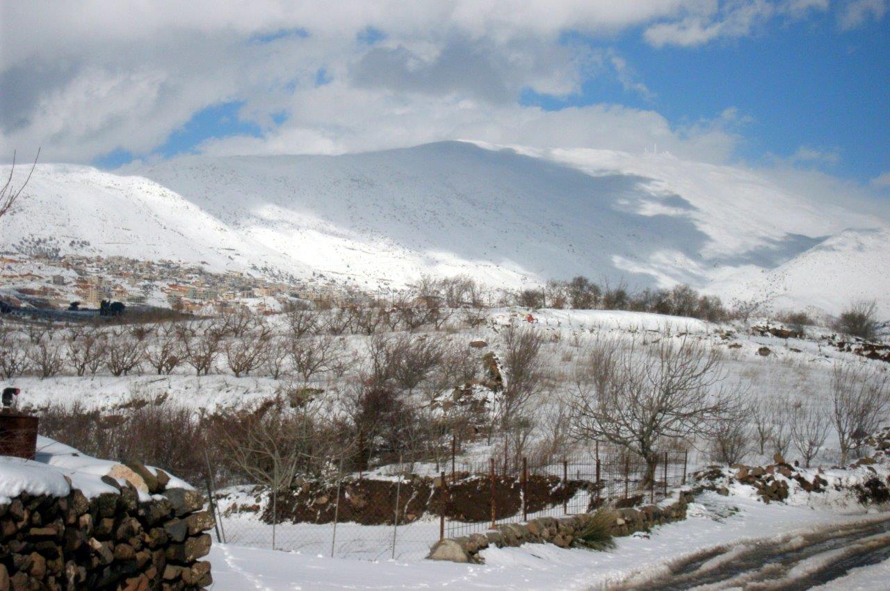השלג ברמת הגולן והזרימות העזות בנחלי הצפון • צפו