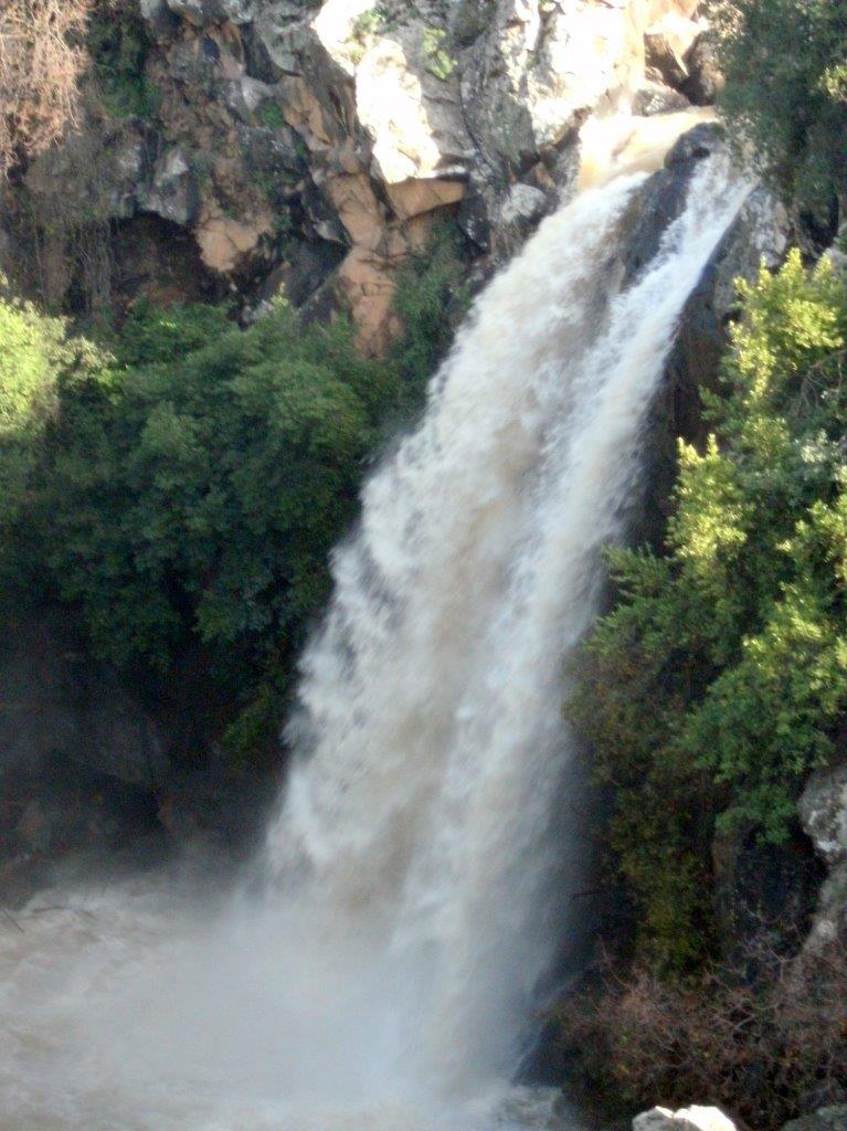 השלג ברמת הגולן והזרימות העזות בנחלי הצפון • צפו