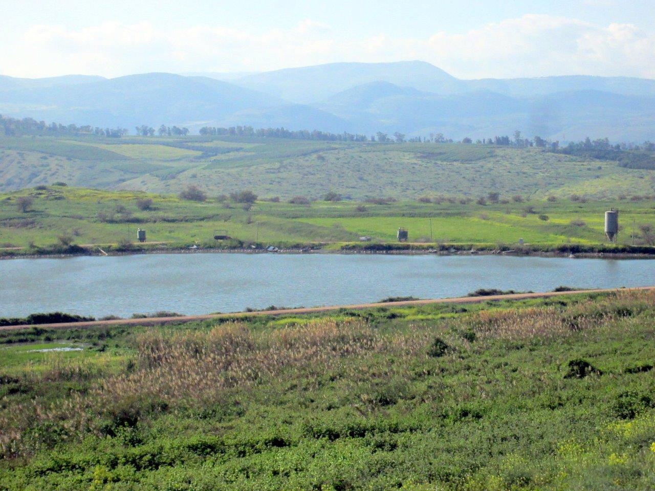 השלג ברמת הגולן והזרימות העזות בנחלי הצפון • צפו