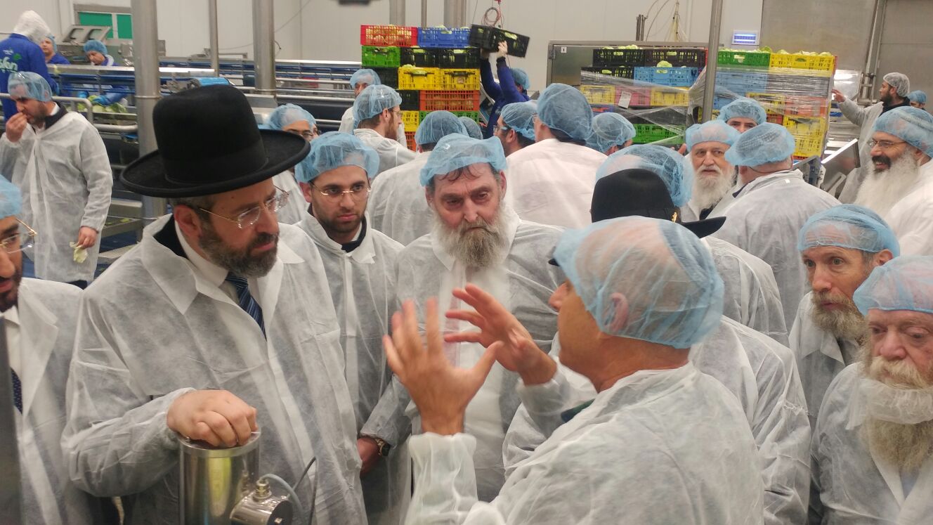 הגר"ד לאו בסיור בחסלט.