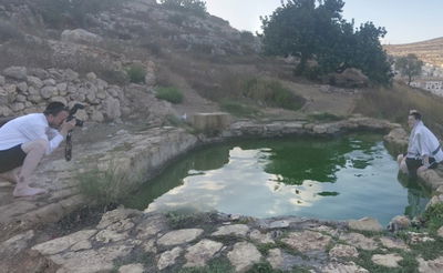 אילוסטרציה