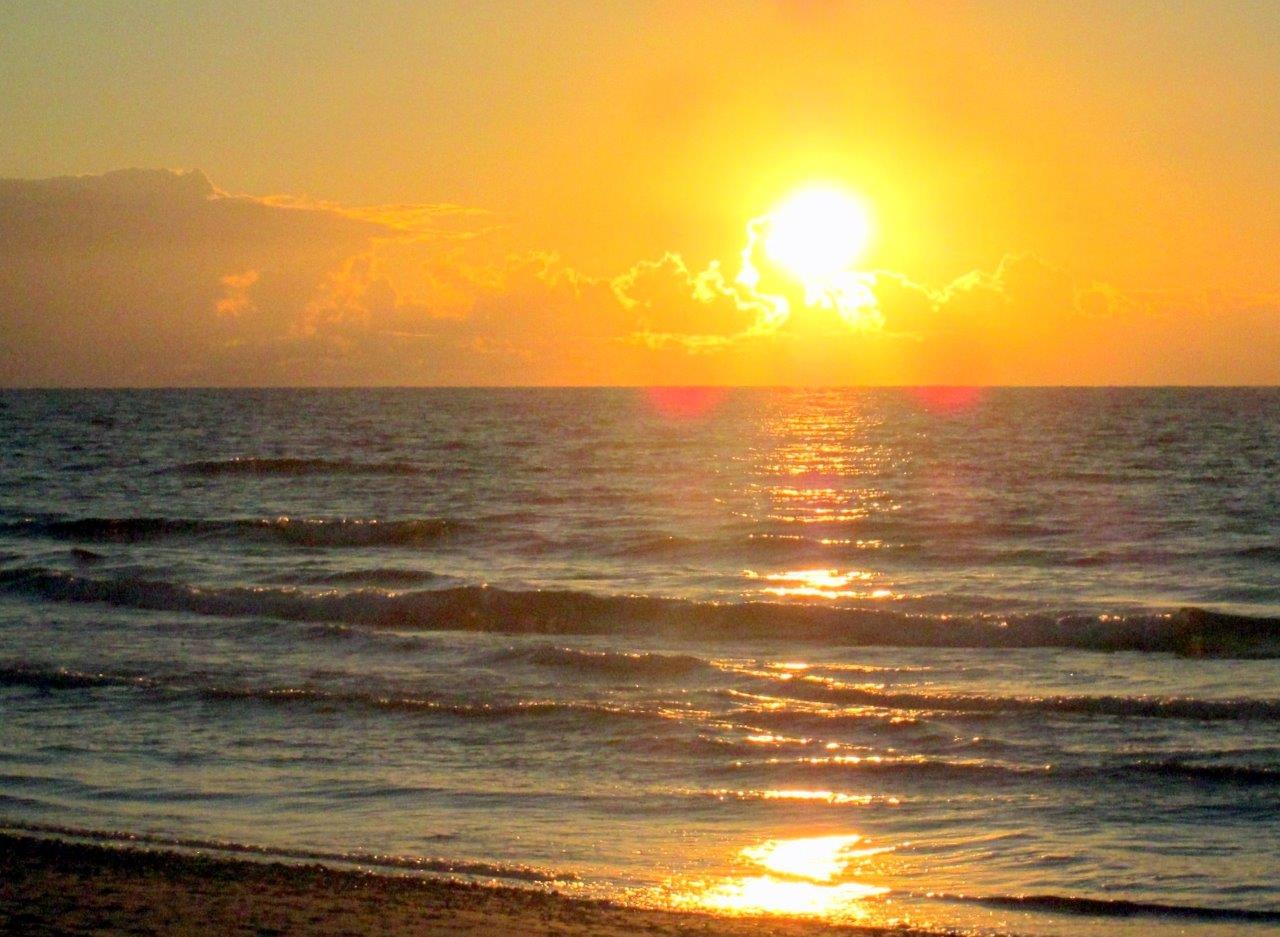 מזג האוויר התחמם: סיור מצולם בחופי השרון