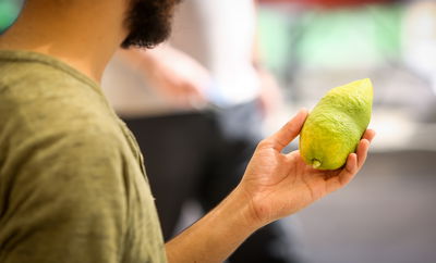 אתרוג. אילוסטרציה
