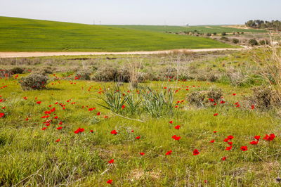 התחזית: חם מהרגיל לעונה, מעונן חלקית