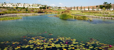 תשתית ראייתית נגד מנכ"לית פארק שרון