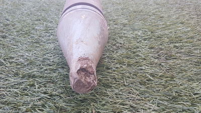 פגז ישן פעיל נמצא בתוך שטח בית ספר