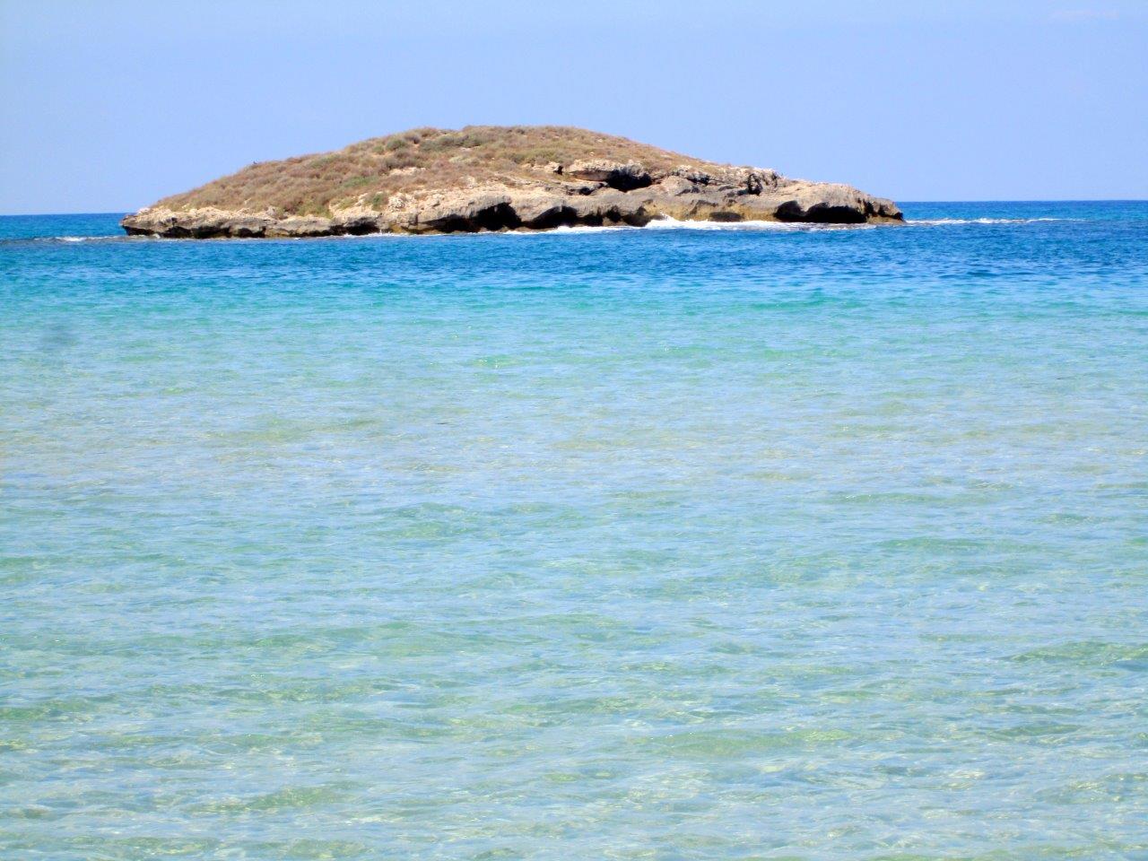 הכרמל, הגלבוע ועמק יזרעאל • תיעוד מרהיב