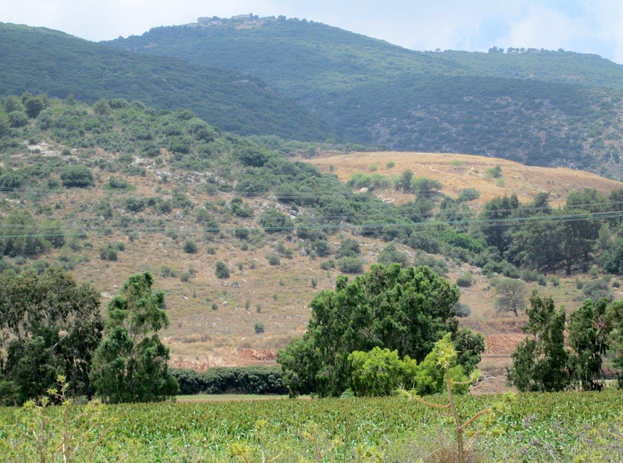 הכרמל, הגלבוע ועמק יזרעאל • תיעוד מרהיב