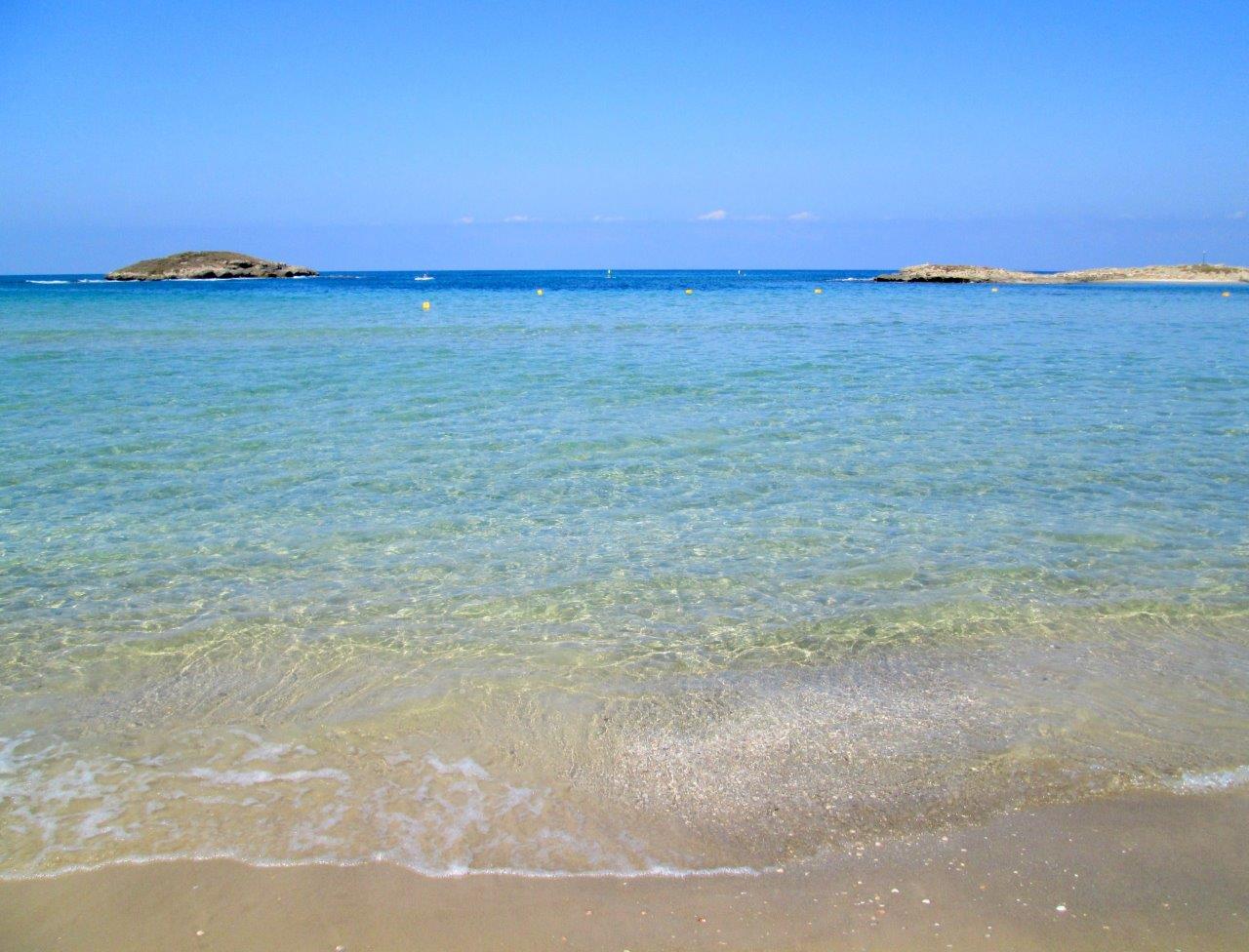 הכרמל, הגלבוע ועמק יזרעאל • תיעוד מרהיב