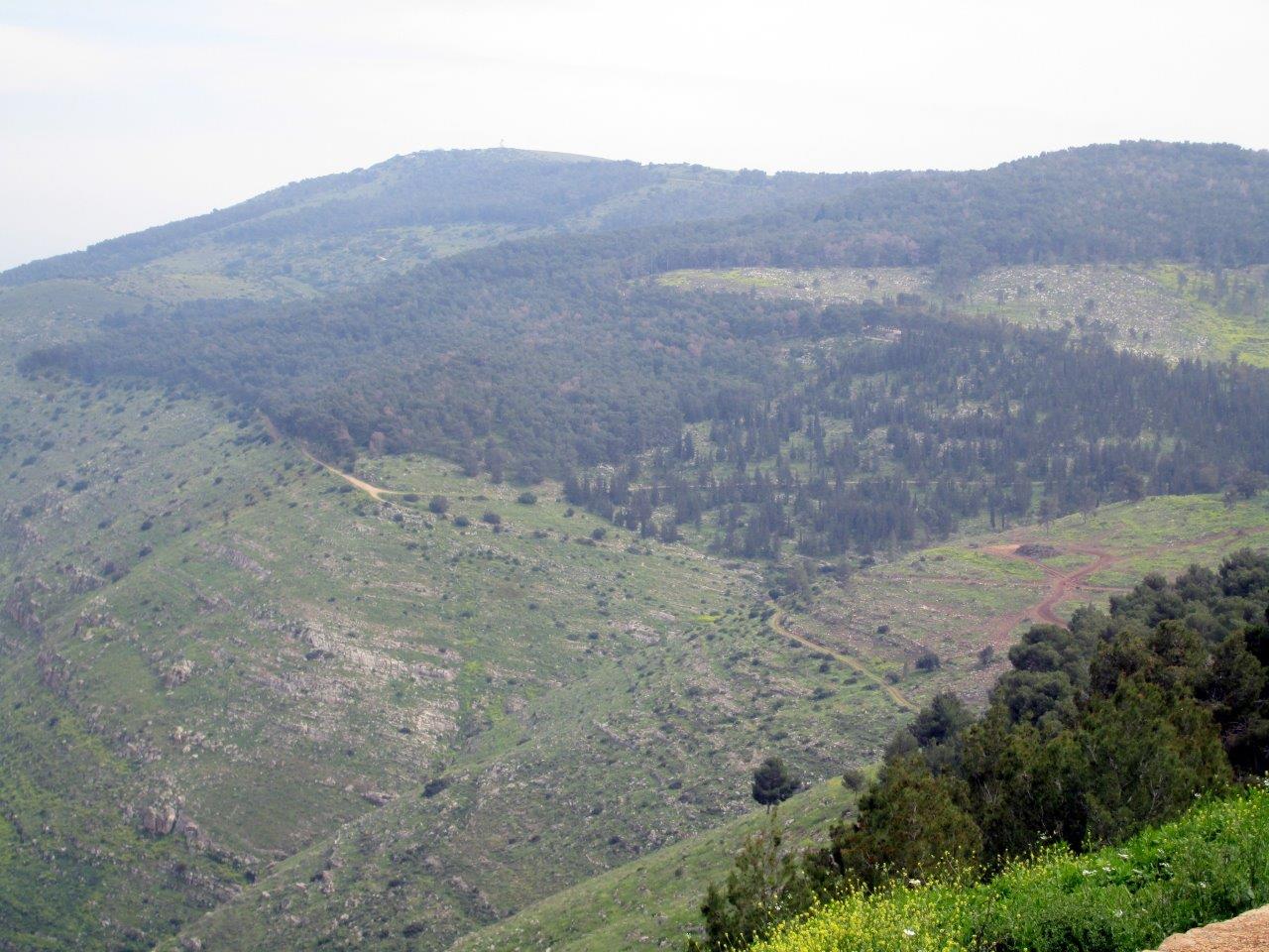 הכרמל, הגלבוע ועמק יזרעאל • תיעוד מרהיב