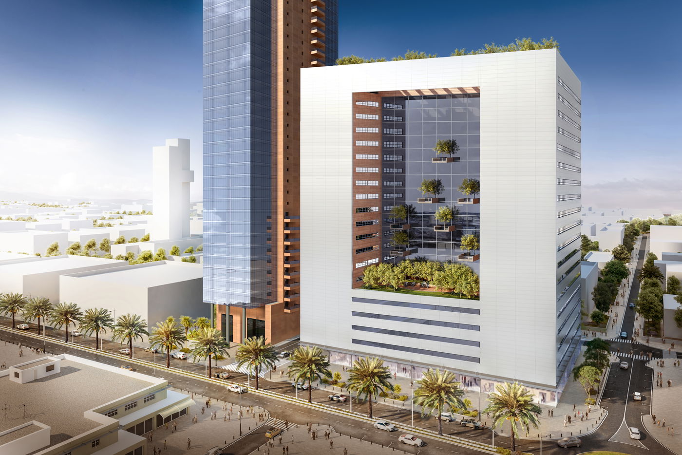 בית החולים הגריאטרי. הדמייה