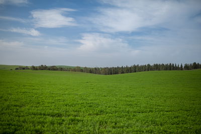 התחזית: עדיין חם ויבש; מחר - הגשם יחזור