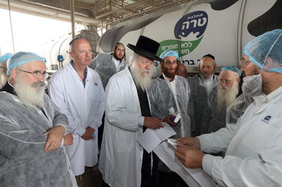 השלמת מהלך כשרות המהדרין. טרה.