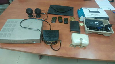 נעצרה חולייה שפרצה לדירות בבית שמש