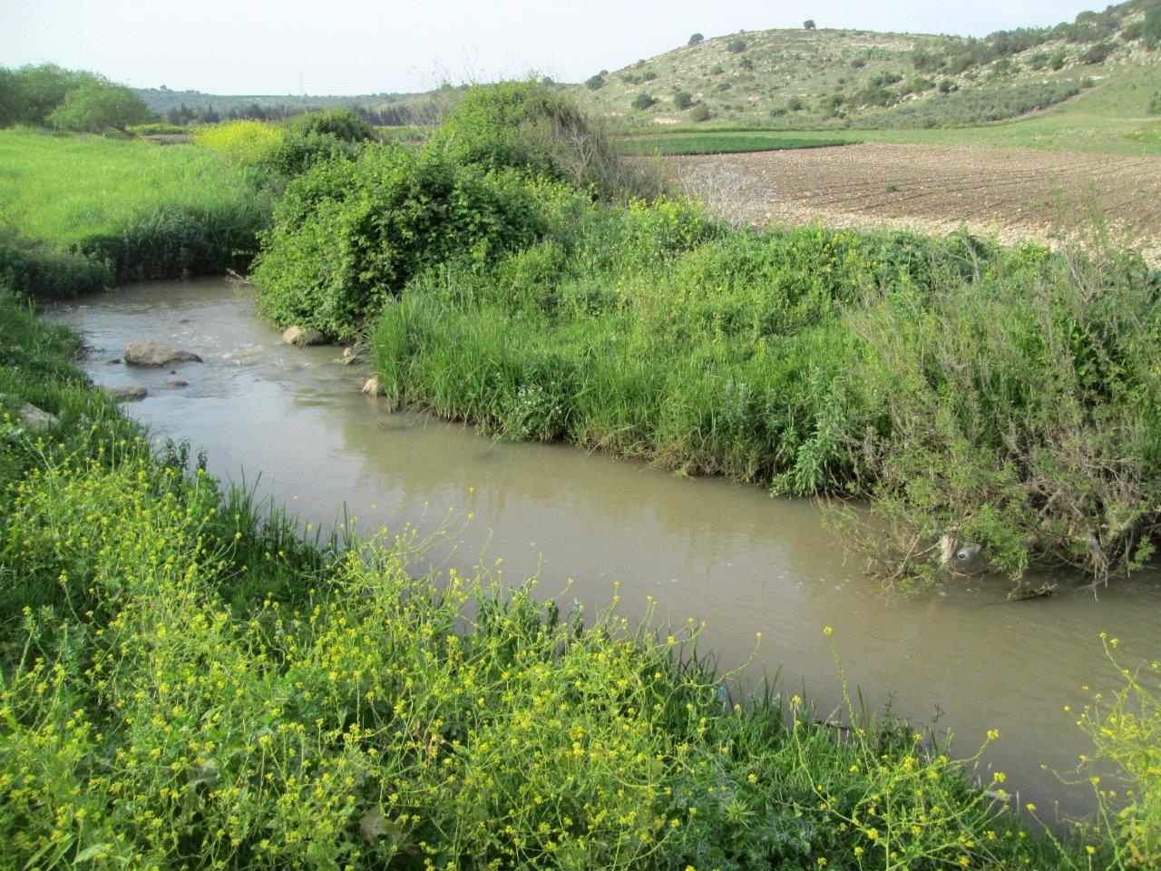 טיול מרהיב דרך עדשת המצלמה לגליל