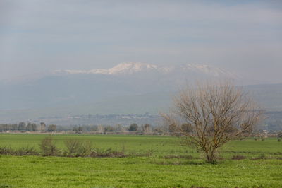 עמק החולה והחרמון ברקע, אתמול