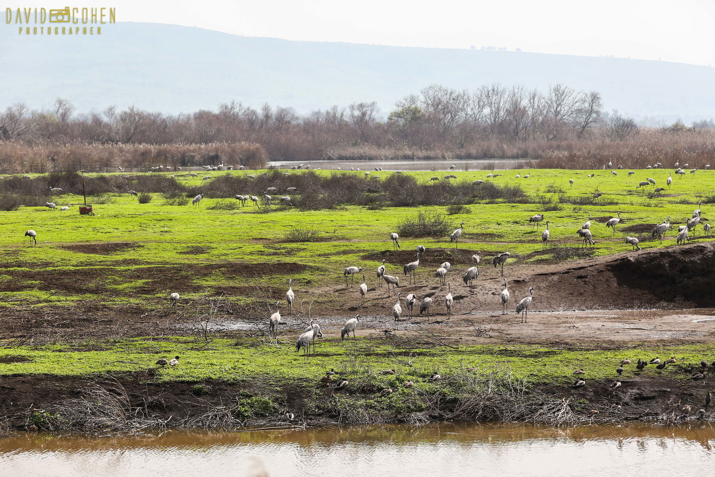 סיור מצולם באגמון החולה • צפו בגלריה