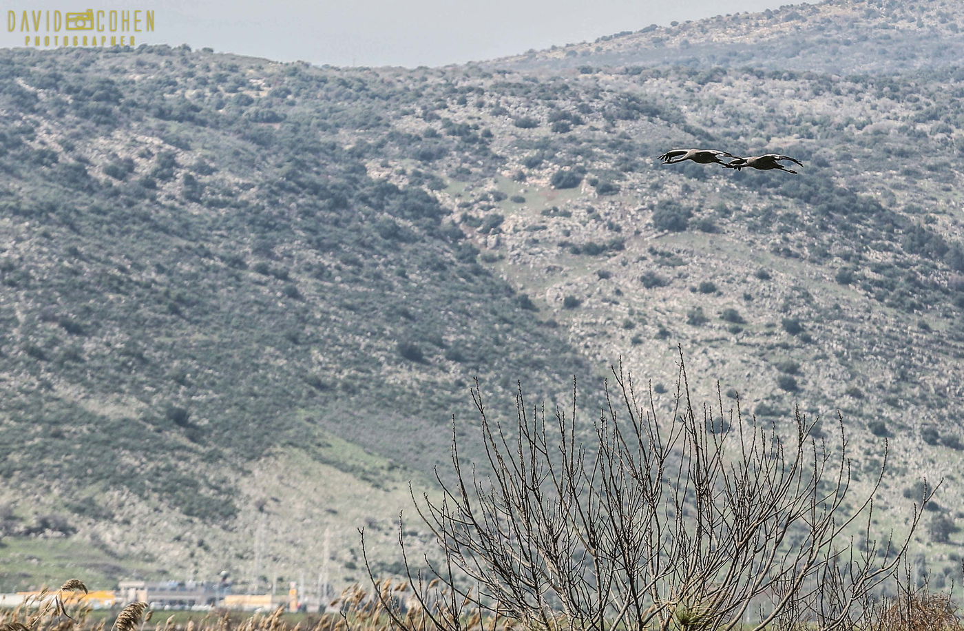 סיור מצולם באגמון החולה • צפו בגלריה