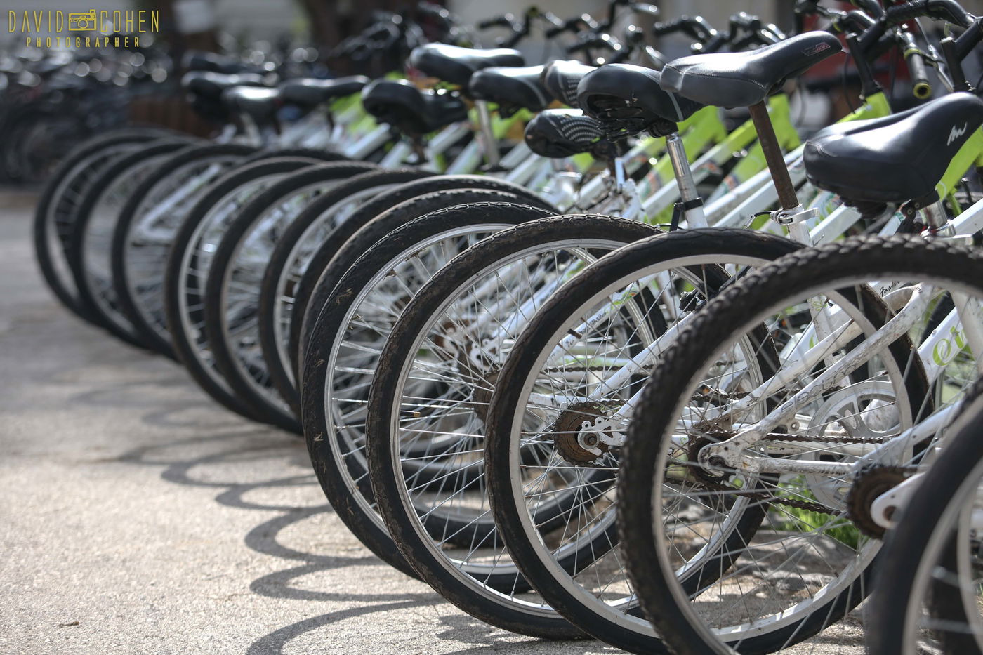 סיור מצולם באגמון החולה • צפו בגלריה
