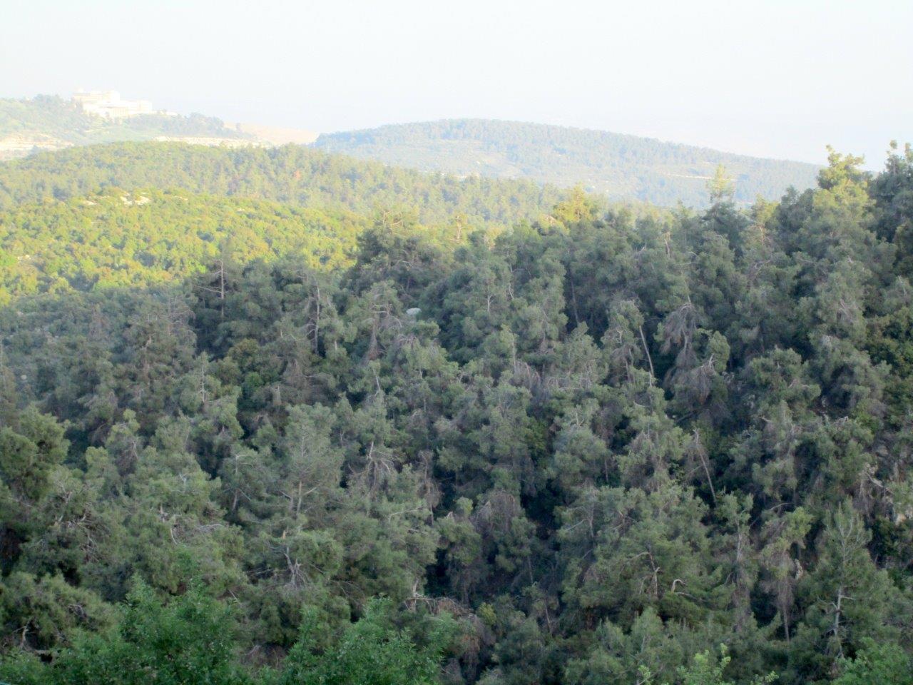 טיול לגליל המערבי והעליון דרך עדשת המצלמה