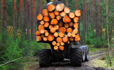ויראלי ברשת: כשהטרקטור שלך בורח ממך