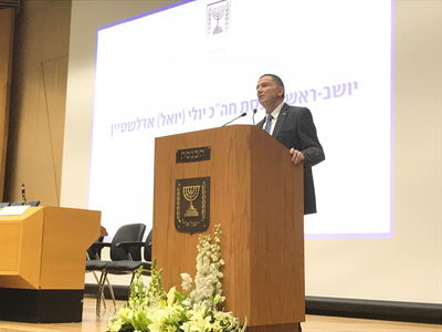 אדלשטיין, היום