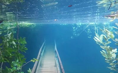 שמורת הטבע ששקעה