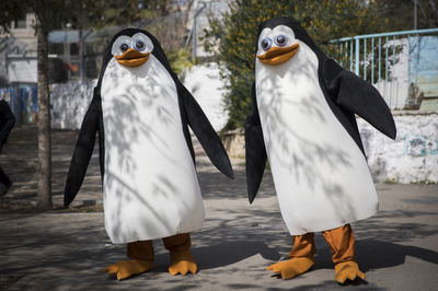 התחזית: התחממות קלה, בפורים יהיה נאה