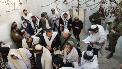 מאות קראו את המגילה בקבר יהושע בן נון