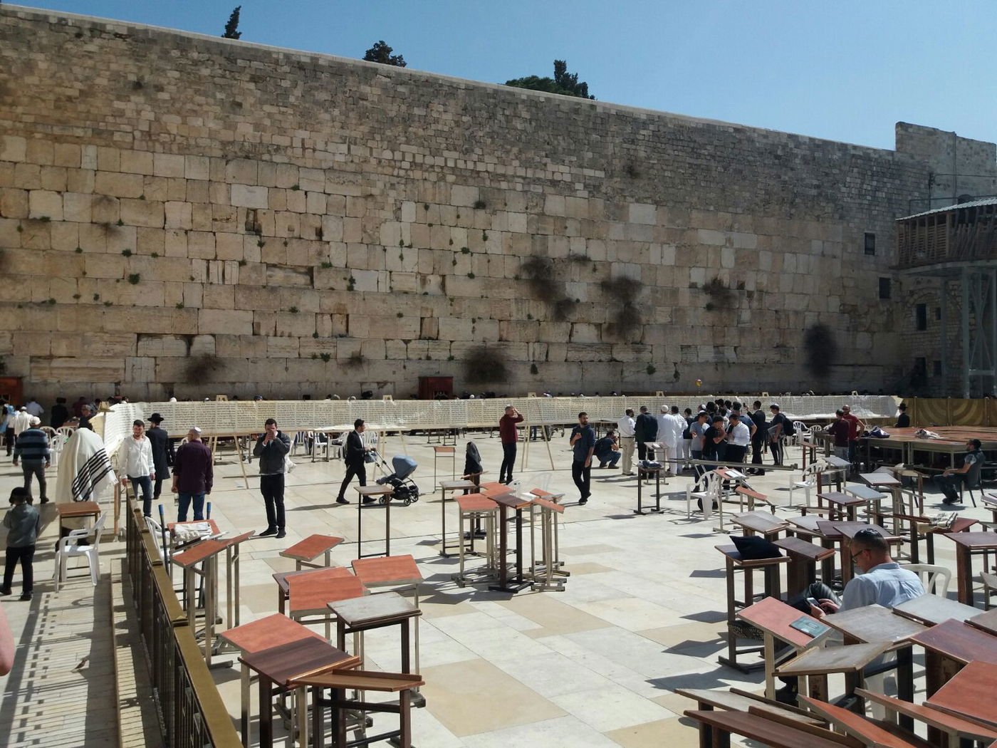 מגילת אסתר הגדולה בעולם הוצבה בכותל המערבי • צפו