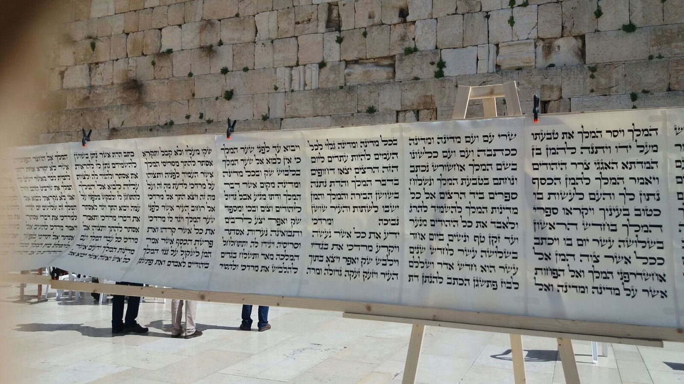 מגילת אסתר הגדולה בעולם הוצבה בכותל המערבי • צפו