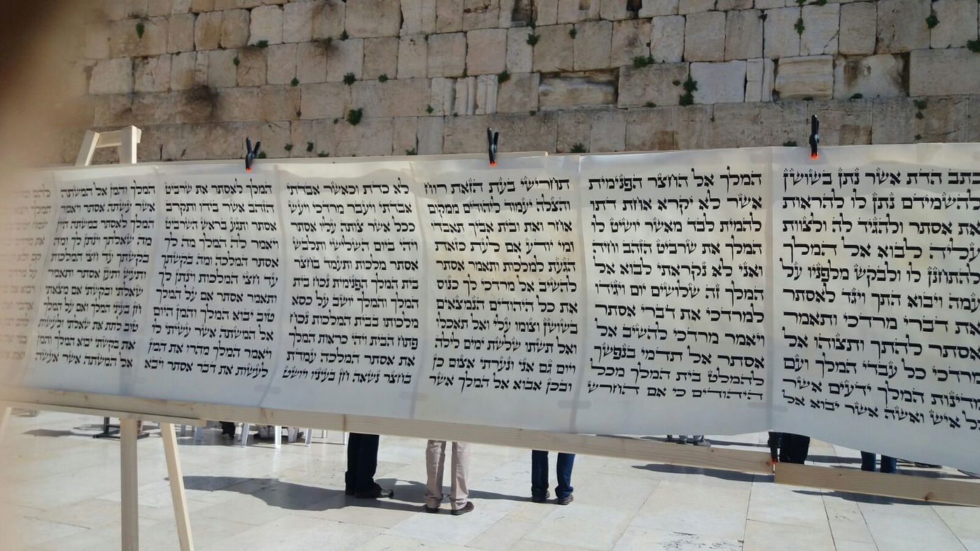 מגילת אסתר הגדולה בעולם הוצבה בכותל המערבי • צפו