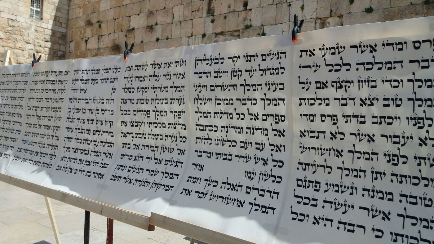 מגילת אסתר הגדולה בעולם הוצבה בכותל המערבי • צפו