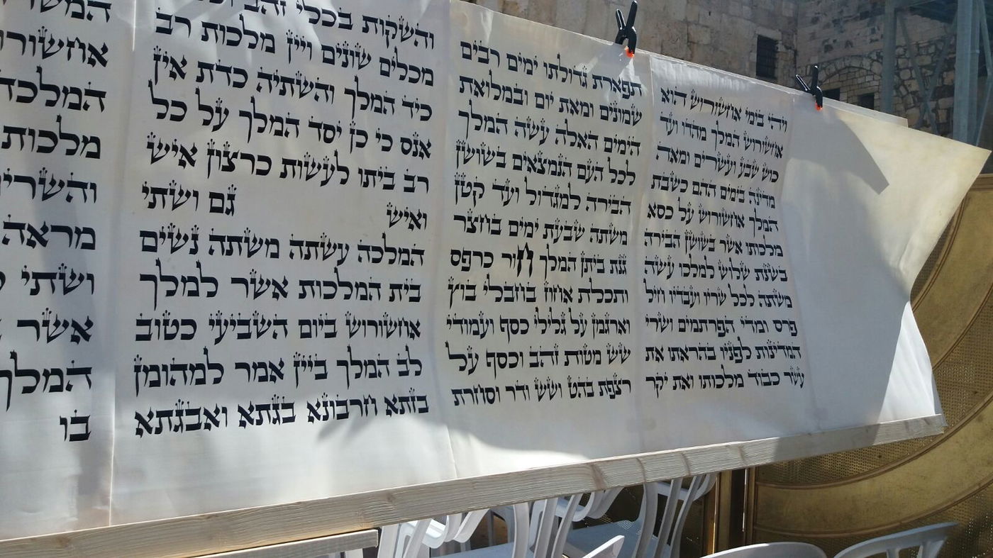 מגילת אסתר הגדולה בעולם הוצבה בכותל המערבי • צפו