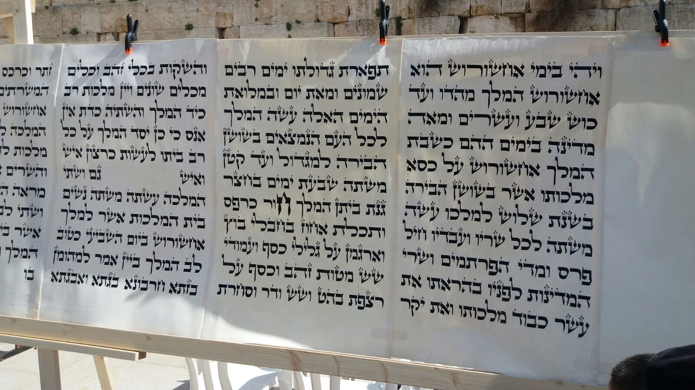 מגילת אסתר הגדולה בעולם הוצבה בכותל המערבי • צפו