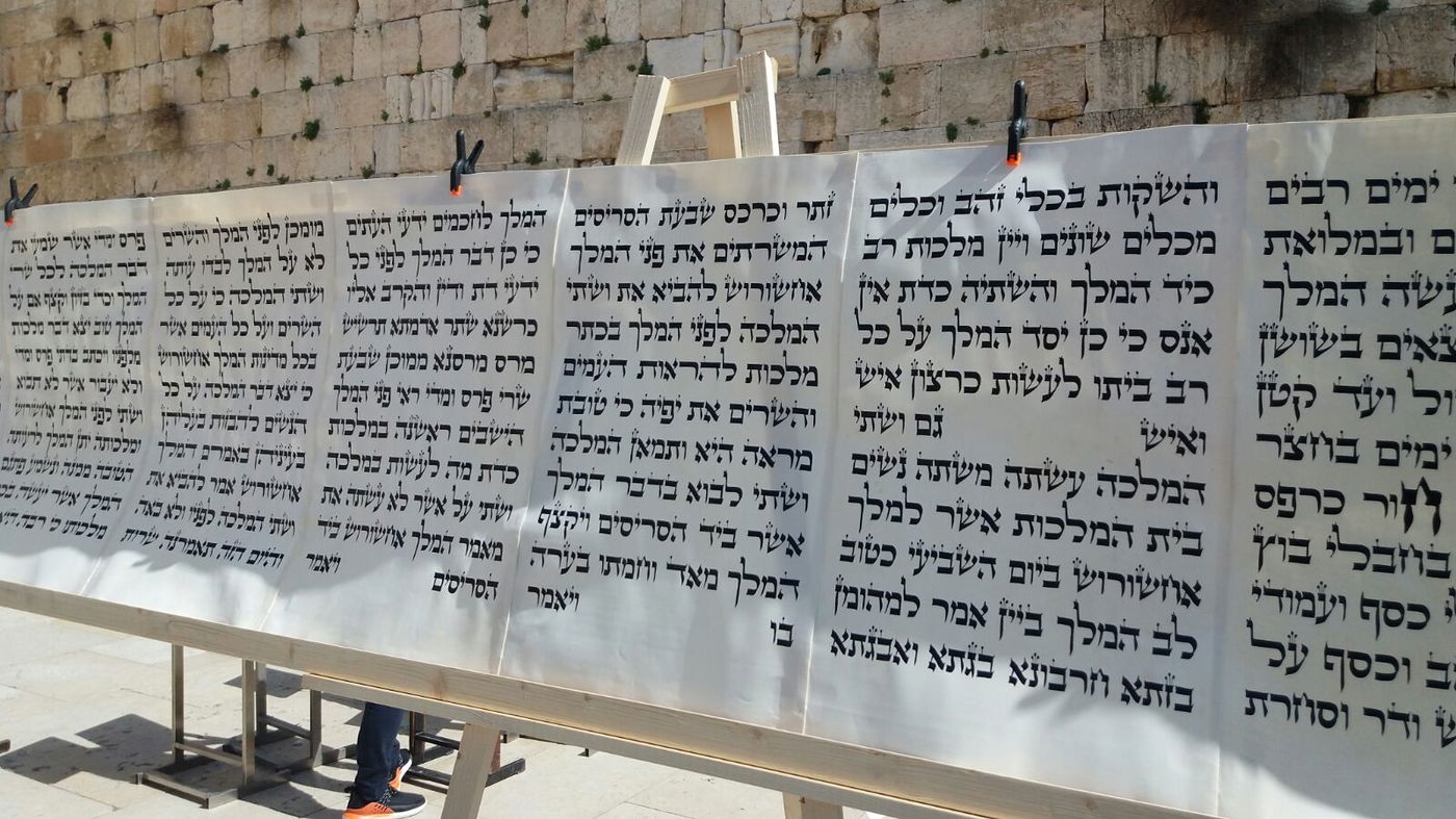 מגילת אסתר הגדולה בעולם הוצבה בכותל המערבי • צפו