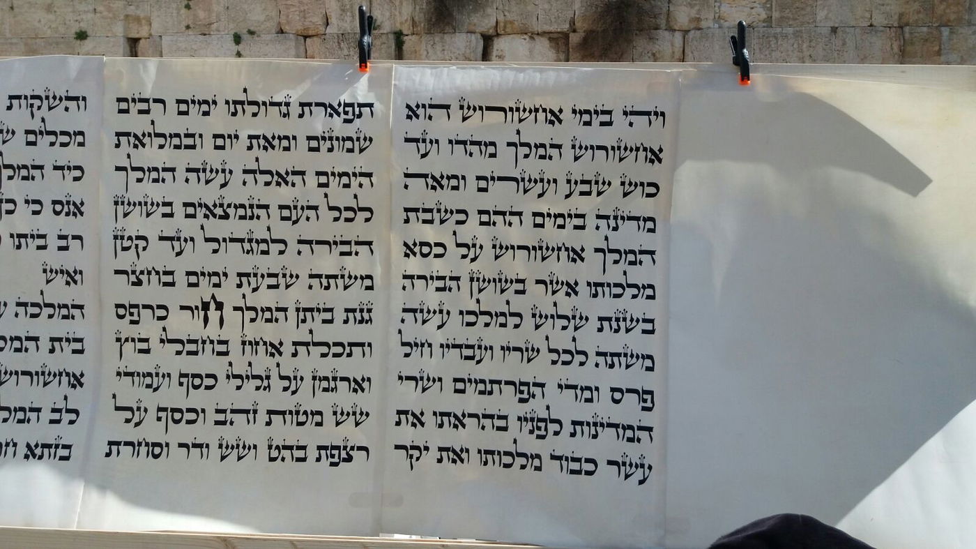 מגילת אסתר הגדולה בעולם הוצבה בכותל המערבי • צפו