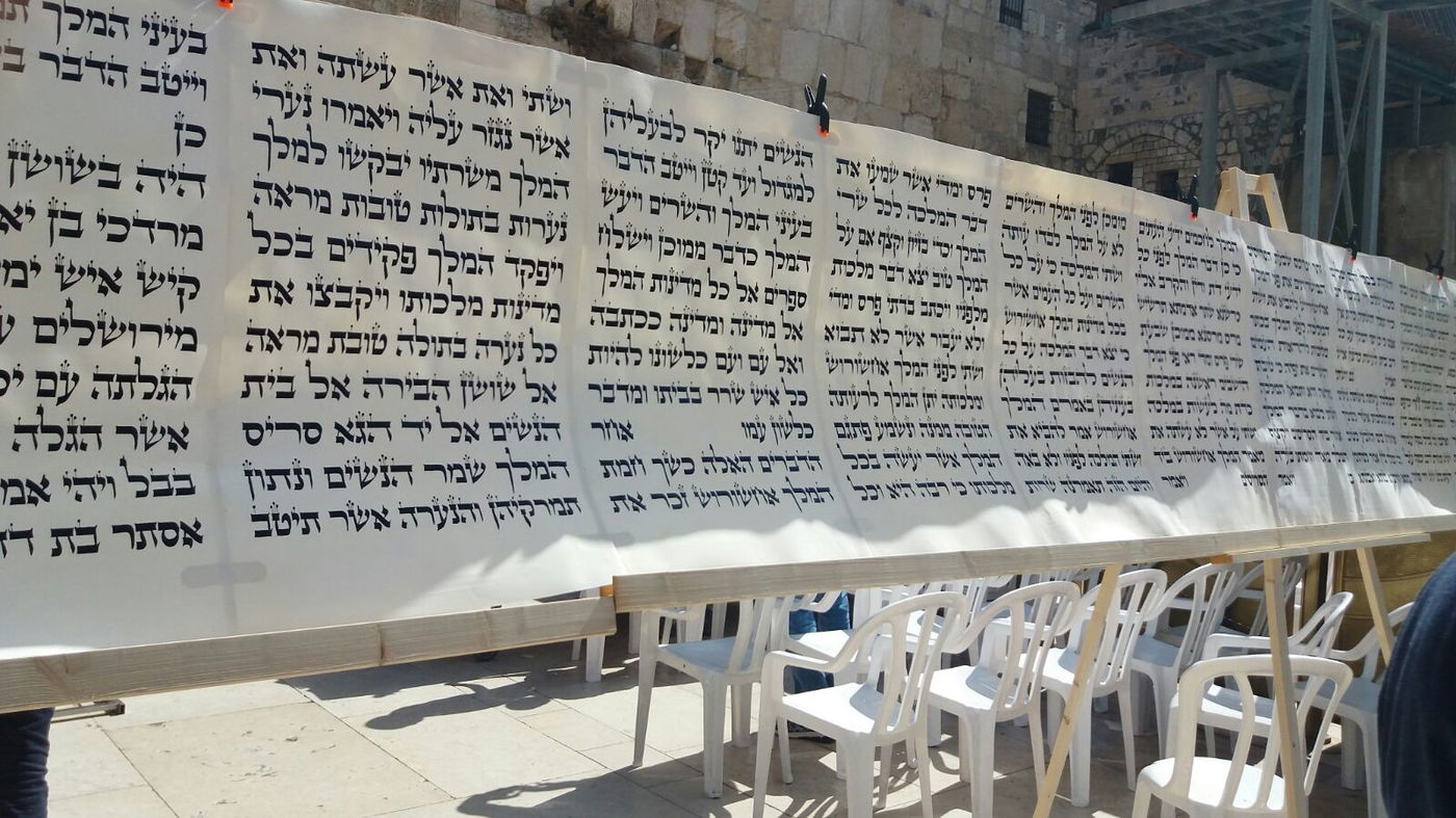 מגילת אסתר הגדולה בעולם הוצבה בכותל המערבי • צפו