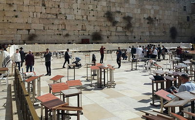 מגילת אסתר הגדולה בעולם הוצבה בכותל המערבי • צפו