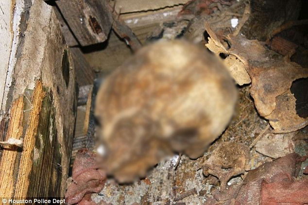 עצמותיה של סיריוטי