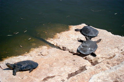 סיור דרך עדשת המצלמה לנופי השרון