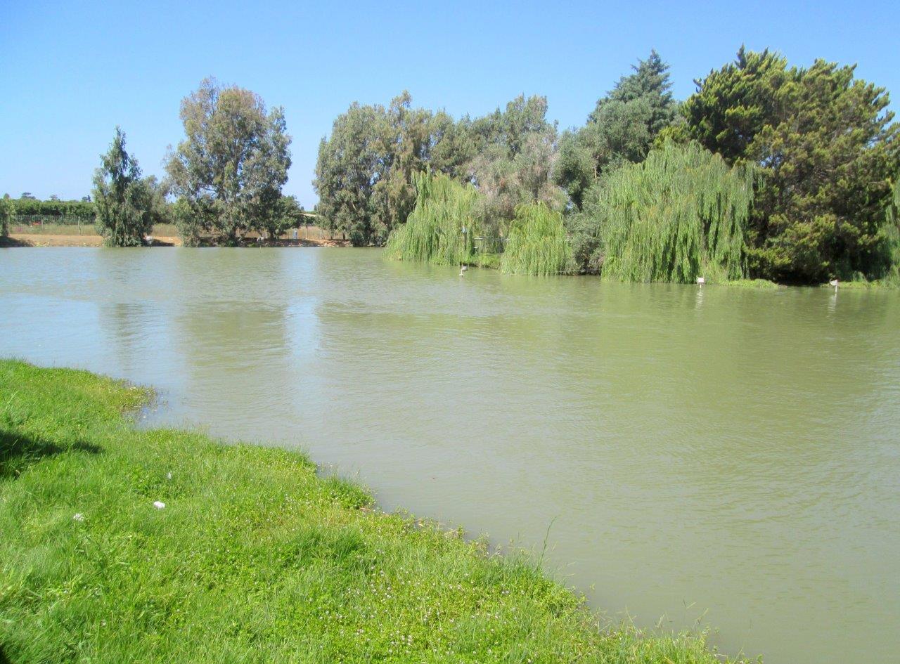 סיור דרך עדשת המצלמה לנופי השרון