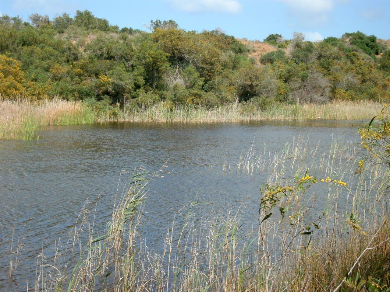 טיול דרך עדשת המצלמה לשפלת יהודה