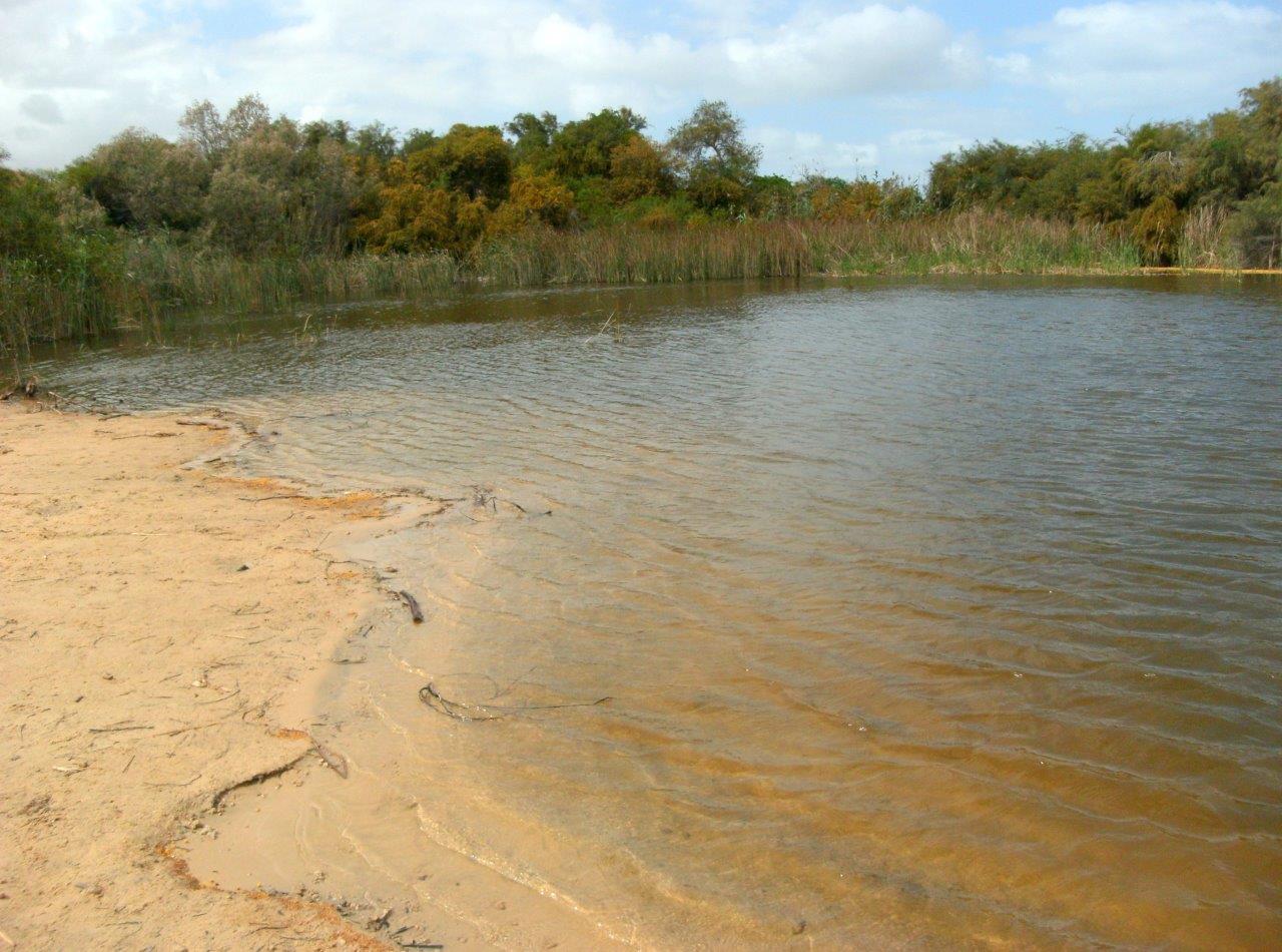 טיול דרך עדשת המצלמה לשפלת יהודה